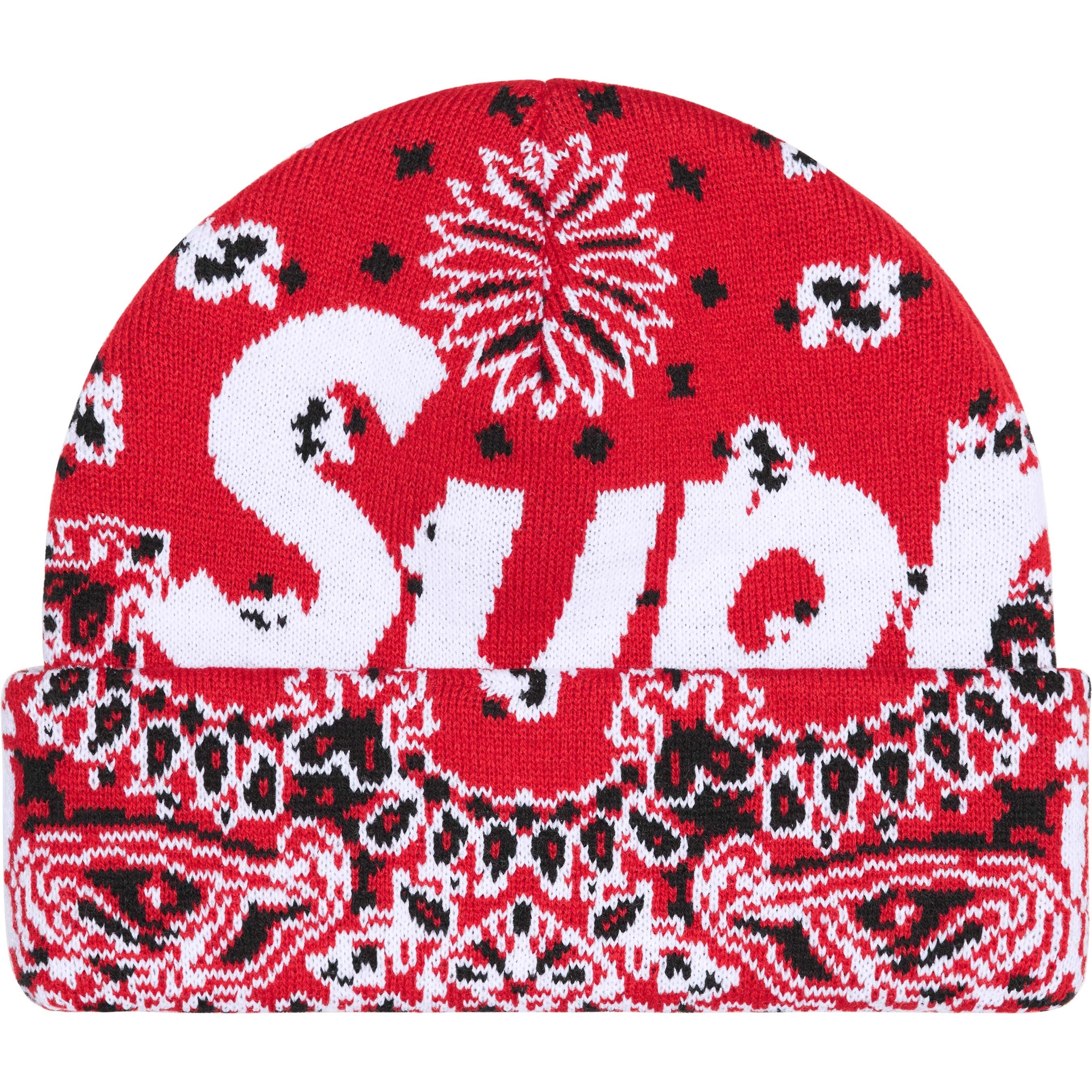 Big Logo Beanie view 17